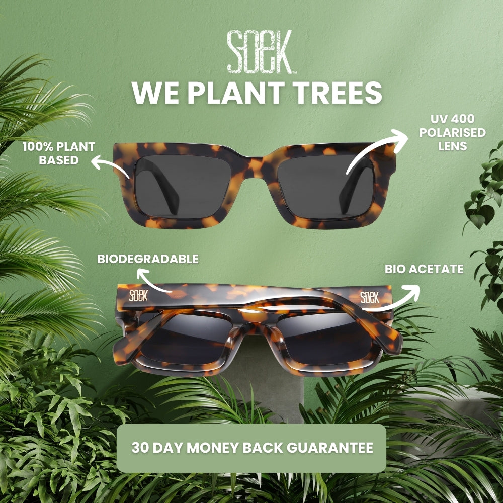 ROVE HONEY TORT - Bio Acetate Tortoise Frame l Khaki Polarised Lens - Soek Fashion Eyewear Australia