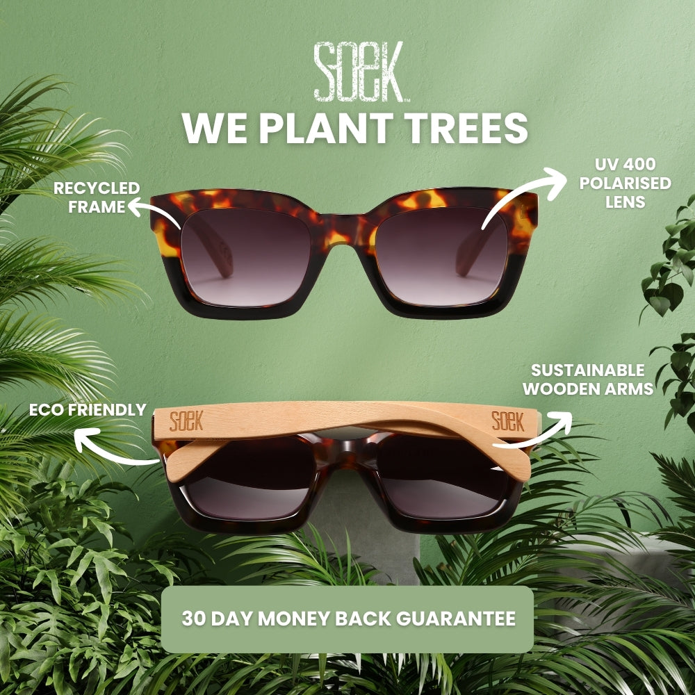 STEVIE IVORY TORT l Black Polarised Lens l Walnut Arms